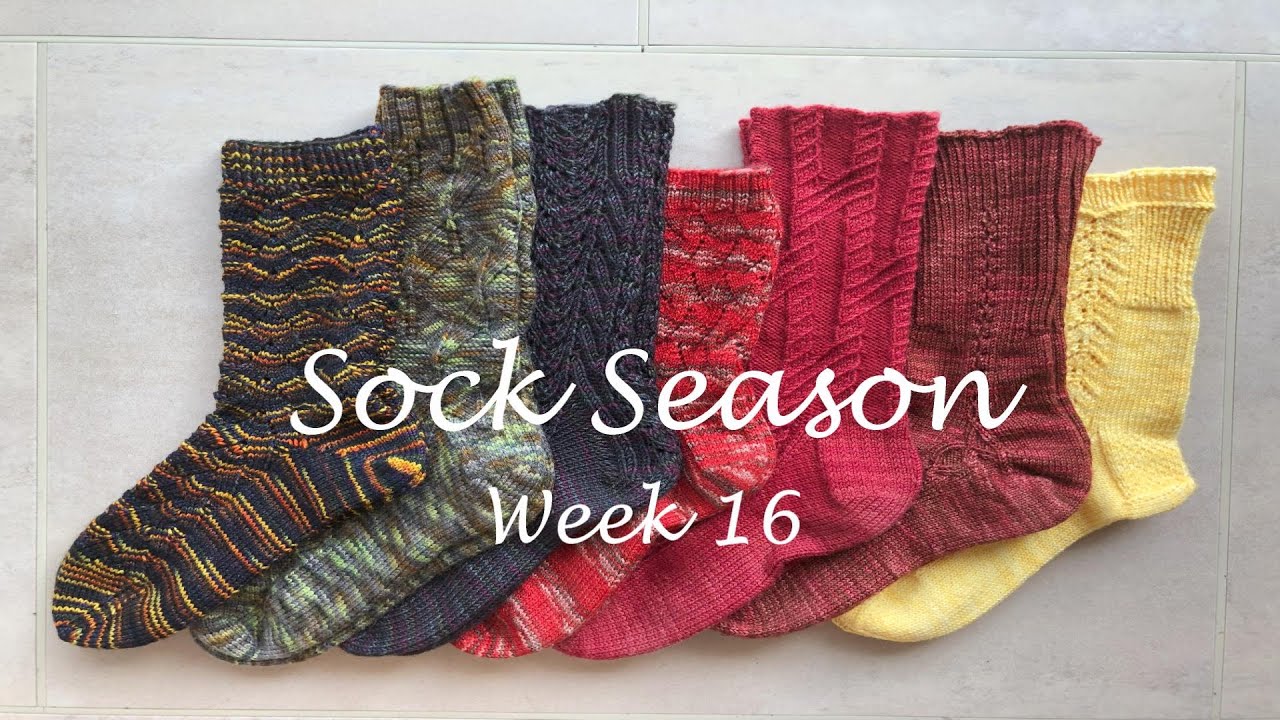 Sock Season Week 16, February 11-17, 2024