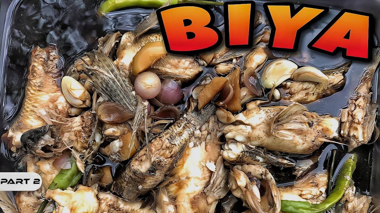 P2 - Biya - EP1004 - YouTube