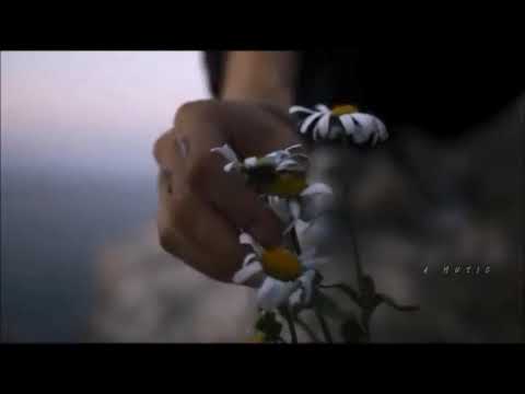 بيني وبينك حدود وبلاد وبحور وسفر حالات اب صوتي مش طالع حالات واتس اب حب المسافات حالات واتس