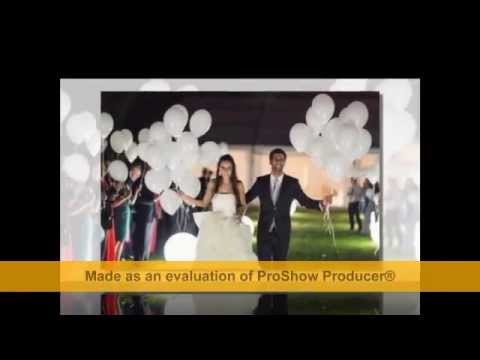 ساموزين فارس أحلامك