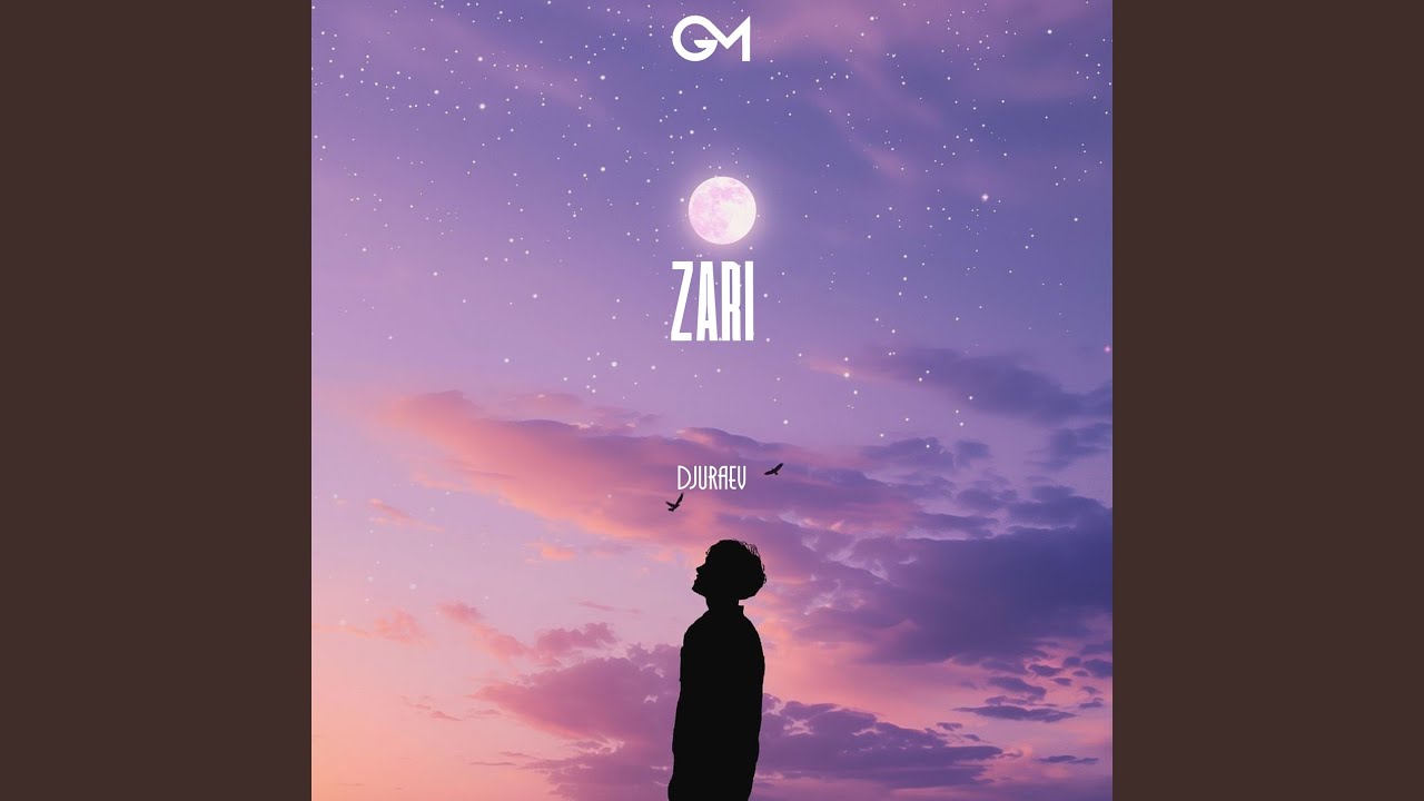 Watch Zari on YouTube Watch Zari on YouTube
