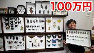 生物化学　古書　1万円値下げしました I spent 1 million yen to purchase a large number of insect