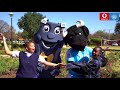 The Vodacom Blue Bulls and Casual Day 2018