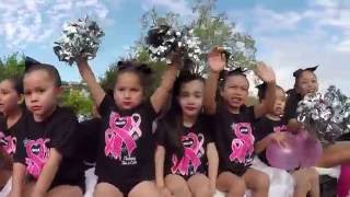 17th Annual Psja Red Ribbon Parade  Festival