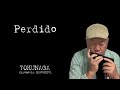 【Perdido】ーーCHROMATIC HARMONICA(Tokunaga Sound)
