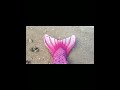 #mermaid #shorts #tiktok #beach #pink