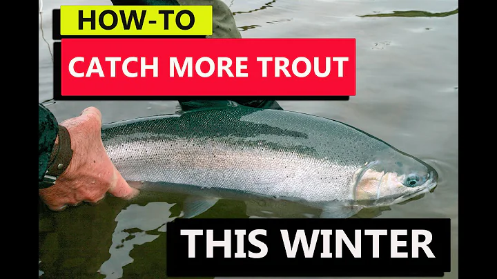 Catch More Trout This Winter (lures, how to make t...