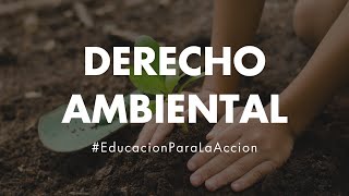 Derecho Ambiental | Educación Ambiental Digital