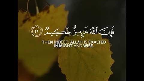 قرآن كريم بصوت القارئ ياسر الدوسري تلاوة خاشعة ارح قلبك 💚🌿حالة واتس إسلامية /استوري انستغرام