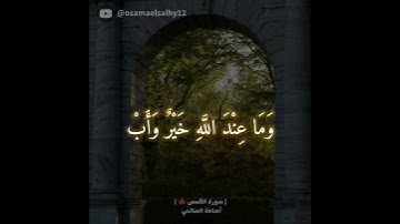 #سورة_القصص  surat_al_qasas#