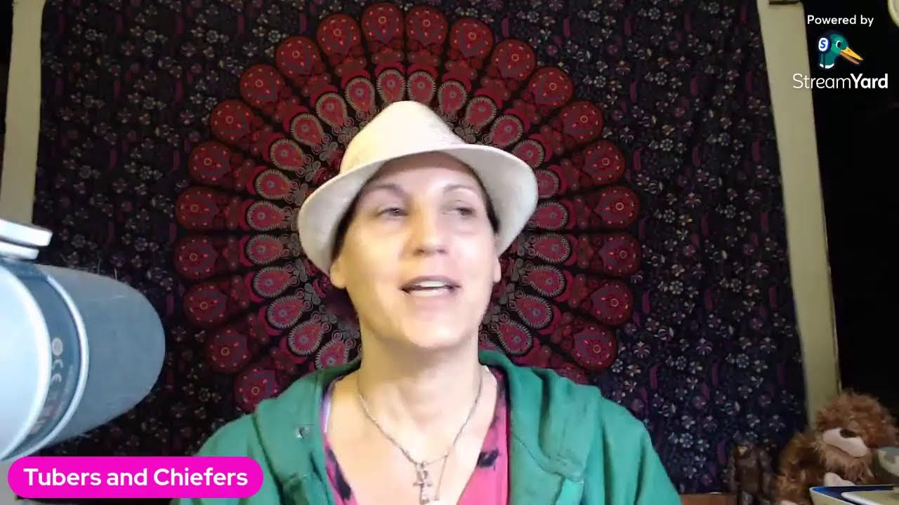 Let the High Times Cannabis Cup Judging Begin!