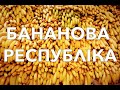 Медведчуцькі канали закрили? Є за що!