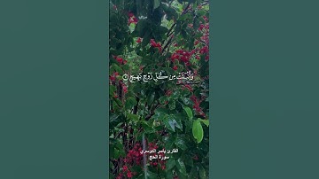 { وترى الارض هامدة فاذا انزلنا عليها الماء اهتزت وربت } القارئ ياسر الدوسري