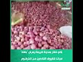 بائع خضار بمدينة كريمة يعرض "بصله" مجاناً للضيوف القادمين من الخرطوم