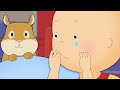 カイユー | カイユーとペットロス | 面白い漫画 | キッズ漫画 | ケイルー | Caillou