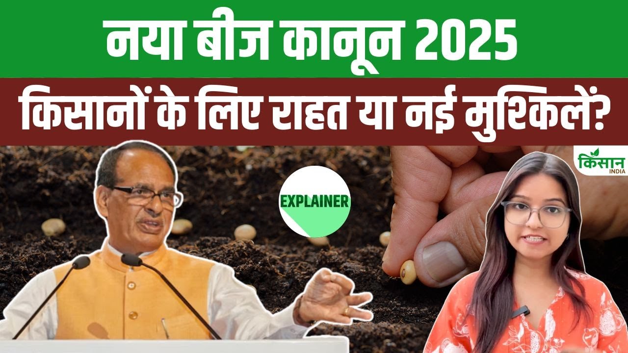 Seed Bill 2025 Explained | हर बीज पर लाइसेंस और QR कोड! जानें आखिर क्या है नया बीज कानून | Agri News