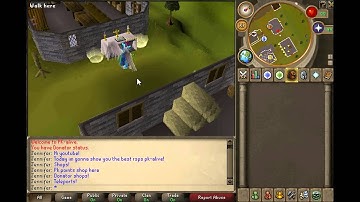 [PK-ALIVE] BEST 317 RSPS SPAWN PK