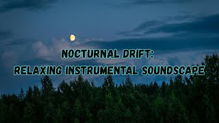 Nocturnal Drift: Relaxing Instrumental Soundscape