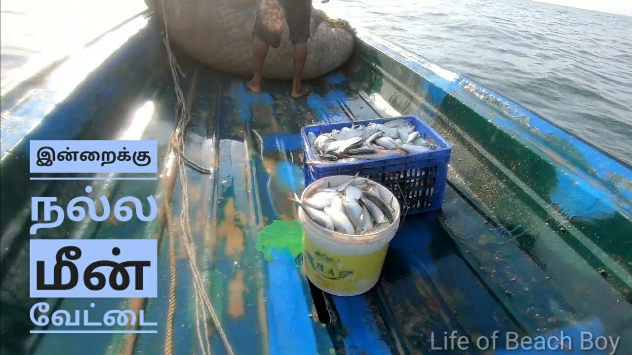திருநெல்வேலி மீனவன் Tamil Nadu Fishing Techniques Fisherman episode