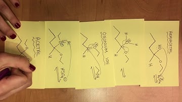 Formation and Hydrolysis of Acetals extra credit video