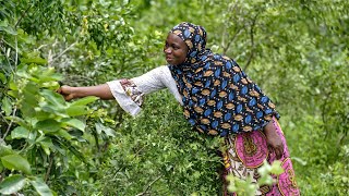 Turning hunger into harvest 🌳