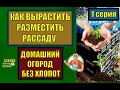 Лайфхак ⇒ Компактное размещение рассады на подоконнике