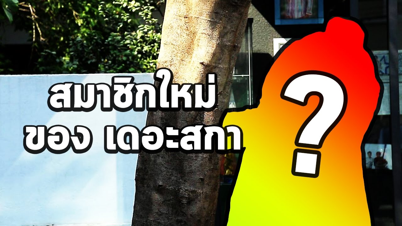 สมาชิกใหม่ของเดอะสกา..???