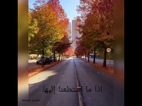 تصميم أماني ياسين شعر محمود درويش