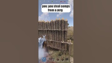 YOU STEAL COMPS FROM A ZERG..