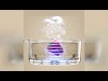 Review: Fruit and Vegetable Washing Machine Double Layer Efficient Time Saving Multifunctional...