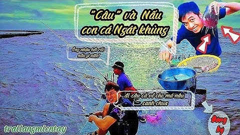 Cách câu cá ĐẶC BIỆT và Nấu Canh Chua CÁ NGÁT Khủng. Cuộc sống Miền Tây - Vlog Săn Bắt  Ẩm Thực