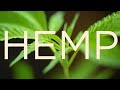 Линейка уходовой косметики HEMP BEAUTY COLLECTION от Greenway