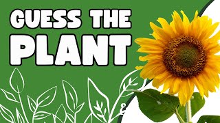 Guess the Plant Quiz | Easy To Impossible Challenge screenshot 4