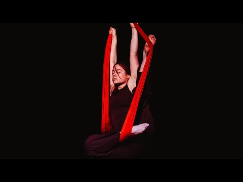Vida Blenkhorn - Aerial Silks | BA2 Devised 2025