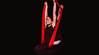 Vida Blenkhorn - Aerial Silks | BA2 Devised 2025