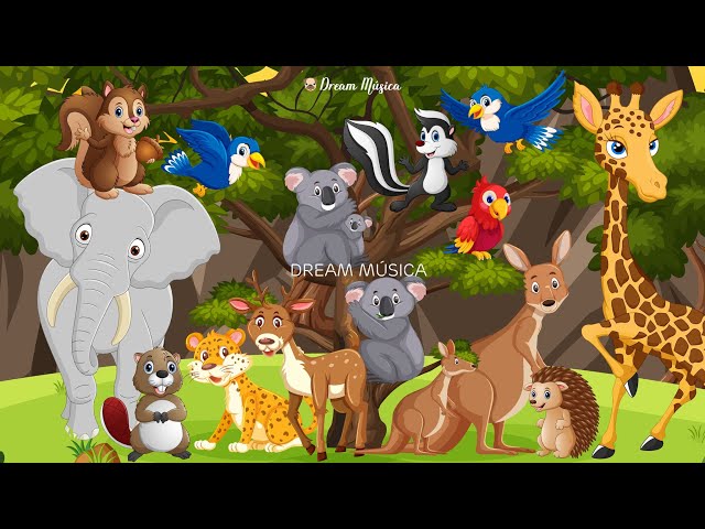 Happy animal moment: Koala, Reindeer, Ferret, Kangaroo, Capybara, Parrot - Animals sound class=