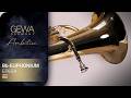 GEWA Germany Bb-Euphonium EP654 Ambition