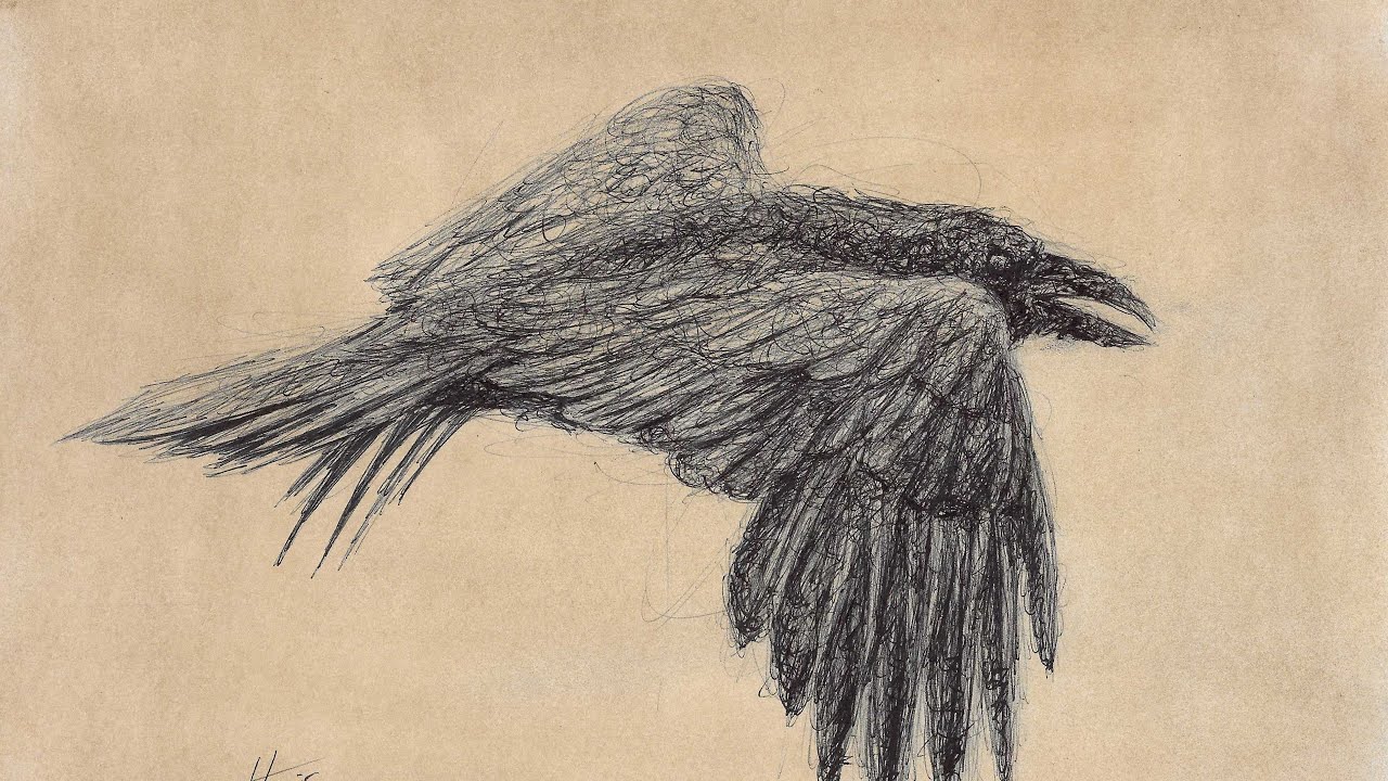 How to Sketch Draw a Raven with a BIC Biro Pen | Scribble Art Drawing ...