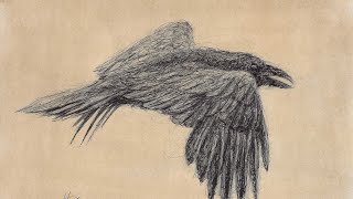 how to sketch draw a raven with a bic biro pen scribble art drawing