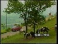 富山ローカルCM 宮島温泉 滝乃荘 富山ローカルCM 宮島温泉 滝乃荘