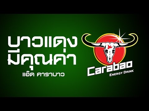 เพลงบาวแดงมีคุณค่า (แอ๊ด คาราบาว) - CARABAO.NET