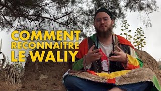 Download Lagu Comment reconnaître le Waliy MP3 Download Lagu Comment reconnaître le Waliy MP3