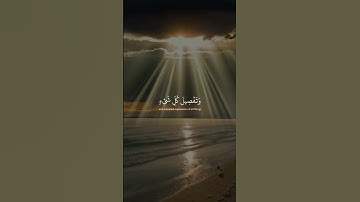 لقد كان في قصصهم عبرةٌ لأولي الألباب || سورة يوسف || 13 رمضان 1445 هـ 🕌🍃..