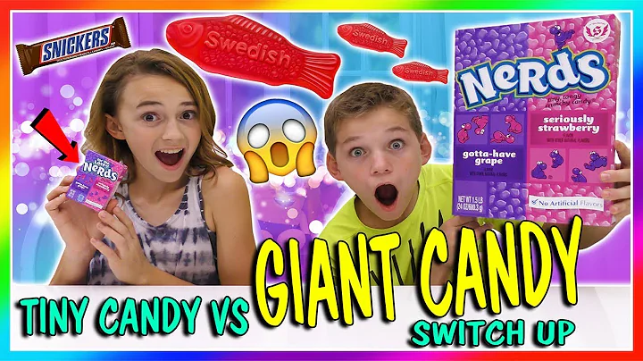 TINY CANDY VS GIANT CANDY SWITCH UP | We Are The D...