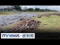 恒春台南地震