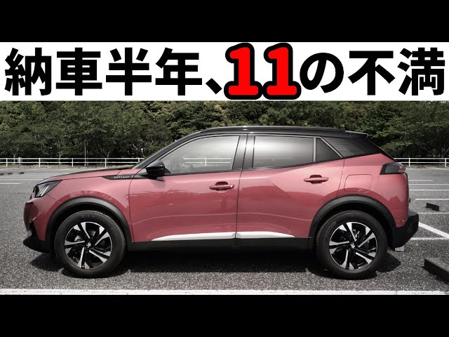 11 complaints about the new Peugeot 2008. One owner shares his