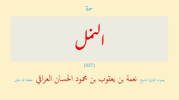 سورة النمل (٠٢٧) نعمة الحسان العراقي - مرتل