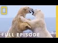 Clan of the north full episode  kingdom of the polar bears