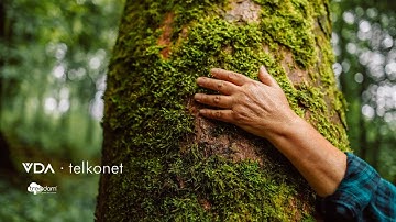 Planting a seed for a brighter future | VDA Telkonet Forest