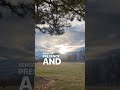 PARK LIFE 1//  #Mysticism #Mindfulness #Meditation
